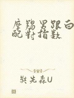 摩羯男跟白羊女配对指数