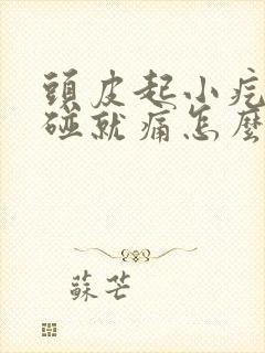 头皮起小疙瘩一碰就痛怎么办