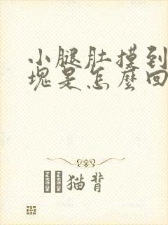 小腿肚摸到有硬块是怎么回事