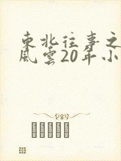 东北往事之黑道风云20年小说