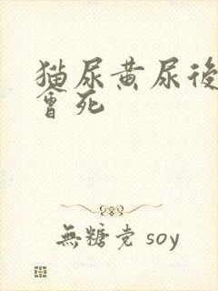 猫尿黄尿后多久会死