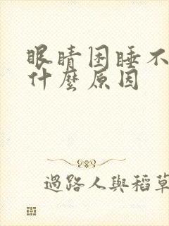 眼睛困睡不着是什么原因