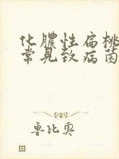 化脓性扁桃体炎常见致病菌