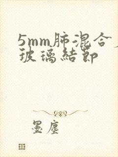 5mm肺混合磨玻璃结节