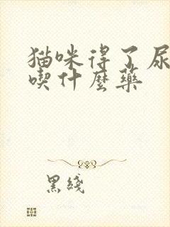 猫咪得了尿闭症吃什么药