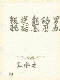 叛逆期的男孩不听话怎么办封面