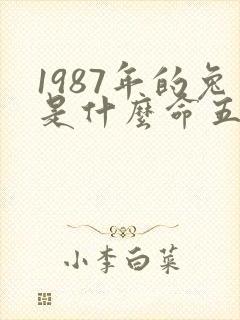 1987年的兔是什么命五行属性