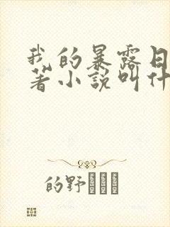 我的暴露日记原著小说叫什么