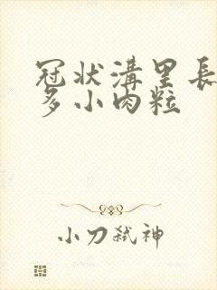冠状沟里长了许多小肉粒