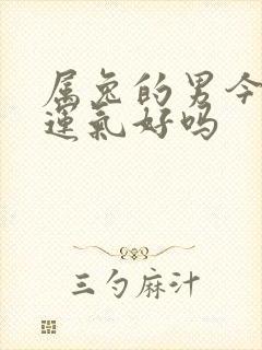 属兔的男今年的运气好吗