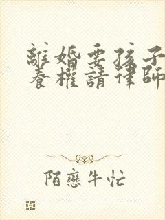 离婚要孩子的抚养权请律师的多少钱