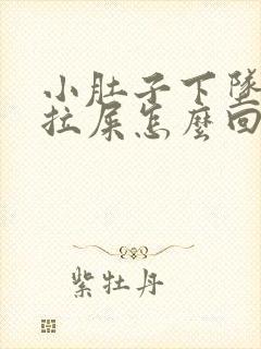 小肚子下坠疼想拉屎怎么回事