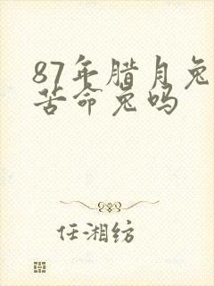 87年腊月兔是苦命兔吗