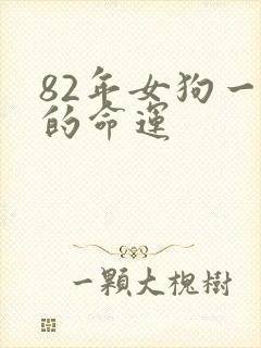 82年女狗一生的命运