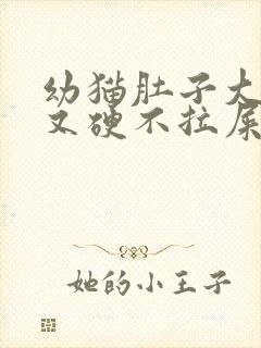 幼猫肚子大又鼓又硬不拉屎