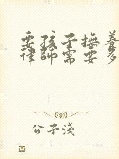 要孩子抚养权请律师需要多少钱