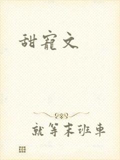 甜宠文封面