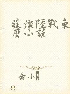 苏灿陆战东是什么小说封面