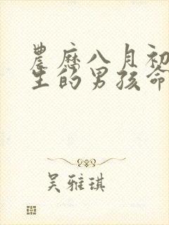 农历八月初四出生的男孩命运怎么样封面