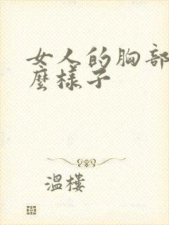 女人的胸部长什么样子