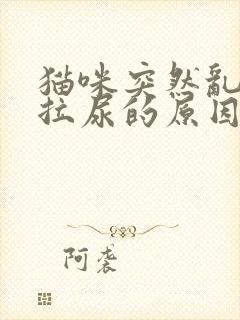 猫咪突然乱拉屎拉尿的原因