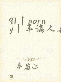 91丨porny丨丰满人妻