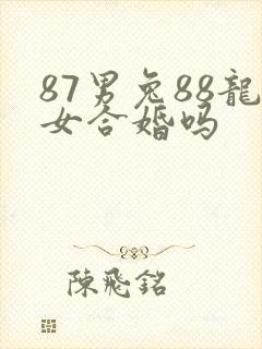 87男兔88龙女合婚吗封面