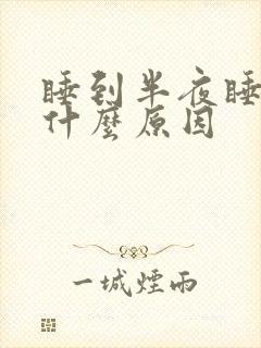 睡到半夜睡不着什么原因