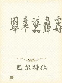 国产液晶电视机哪个品牌好