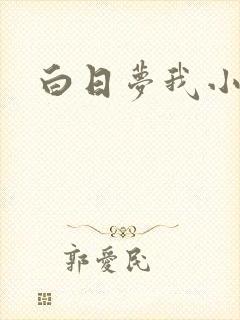 白日梦我小说封面