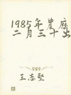 1985年农历二月三十出生的命运封面