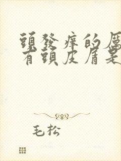 头发痒的厉害还有头皮屑是怎么回事