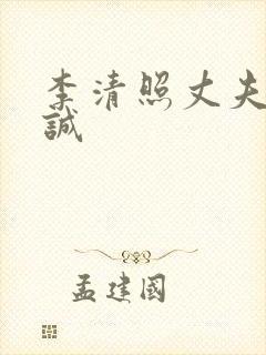 李清照丈夫赵明诚封面