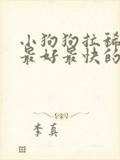 小狗狗拉稀带血最好最快的特效药