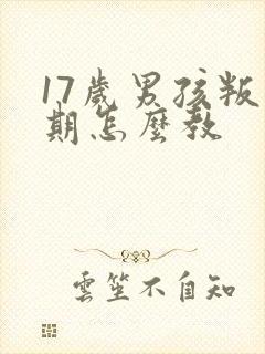 17岁男孩叛逆期怎么教封面