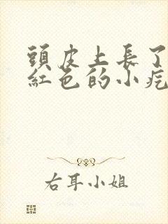 头皮上长了好多红色的小疙瘩