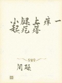 小腿上痒一挠就起疙瘩