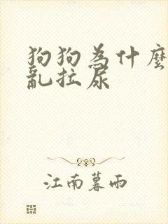 狗狗为什么突然乱拉尿