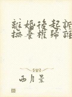 离婚后起诉孩子抚养权归谁