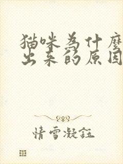 猫咪为什么尿不出来的原因封面