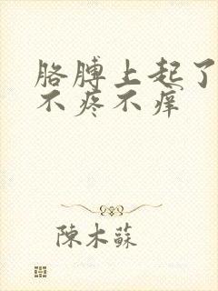 胳膊上起了疙瘩不疼不痒