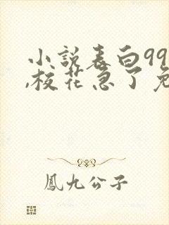 小说表白99次,校花急了免费