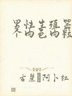 男性生殖器长了个肉色肉粒什么病