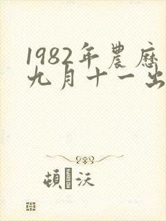 1982年农历九月十一出生的人命运好不好