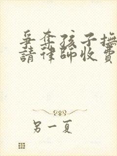 争夺孩子抚养权请律师收费标准