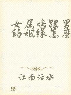 女属鸡跟男属鼠的姻缘怎么样