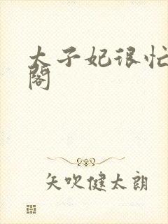 太子妃很忙笔趣阁封面