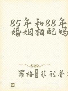 85年和88年婚姻相配吗
