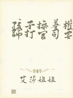 孩子抚养权找律师打官司要多少钱