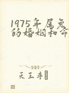 1975年属兔的婚姻和命运如何